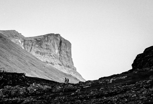 Sarek